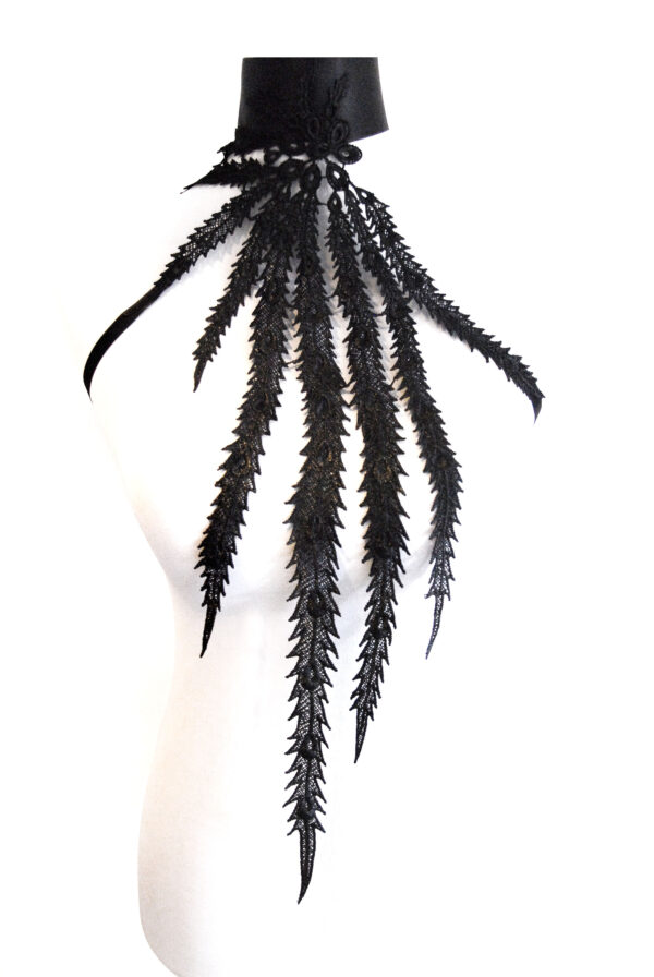 Black Peacock